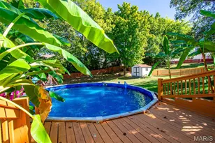 1228 Eagles Crest Ln, Saint Charles, MO 63303 - Photo 86