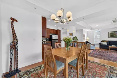 540 N and South Road #103, University City, MO 63130 - Photo 8