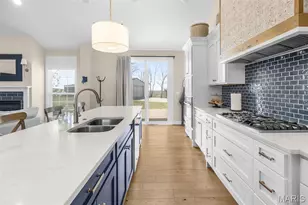 250 Corvette Rose Ln, Jackson, MO 63755 - Photo 12