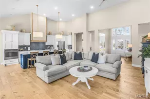 250 Corvette Rose Ln, Jackson, MO 63755 - Photo 8