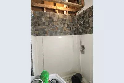 4258 East St Louis Avenue, Saint Louis, MO 63115 - Photo 6