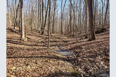 0 Scanlon Drive, De Soto, MO 63020 - Photo 30