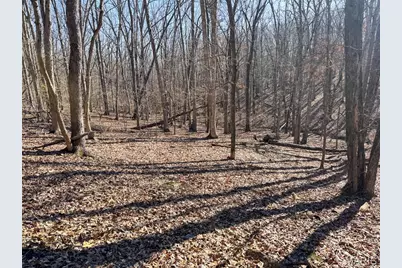 0 Scanlon Drive, De Soto, MO 63020 - Photo 28