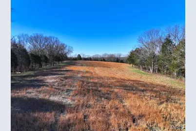 0 Scanlon Drive, De Soto, MO 63020 - Photo 22