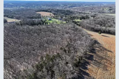 0 Scanlon Drive, De Soto, MO 63020 - Photo 10