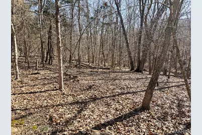 0 Scanlon Drive, De Soto, MO 63020 - Photo 26