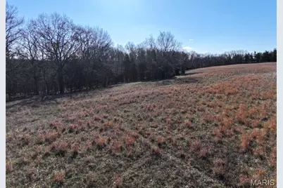 0 Scanlon Drive, De Soto, MO 63020 - Photo 14