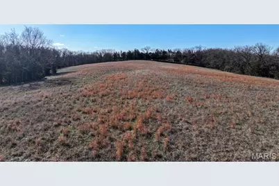 0 Scanlon Drive, De Soto, MO 63020 - Photo 12
