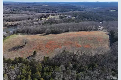 0 Scanlon Drive, De Soto, MO 63020 - Photo 4