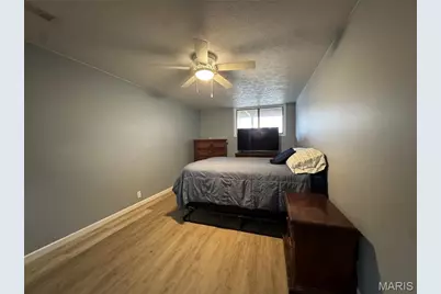 1189 Rocky Branch Lane, Poplar Bluff, MO 63901 - Photo 18