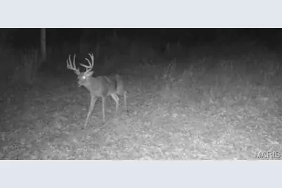 24939 Stormbreak Drive, Richland, MO 65556 - Photo 54