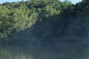 194 Craft Subdivision, Greendale, MO 63944 - Photo 44