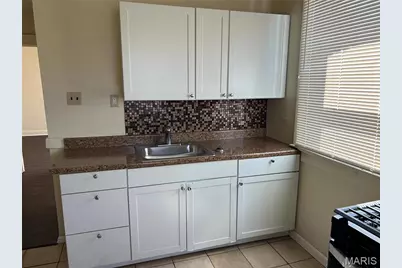 919 S Boyle Avenue, Saint Louis, MO 63110 - Photo 28