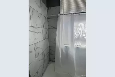 919 S Boyle Avenue, Saint Louis, MO 63110 - Photo 10