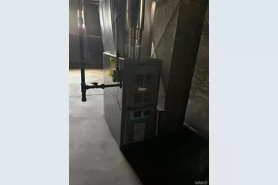 919 S Boyle Avenue, Saint Louis, MO 63110 - Photo 32