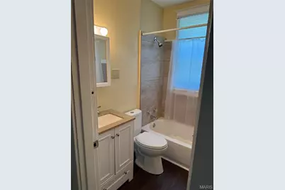 919 S Boyle Avenue, Saint Louis, MO 63110 - Photo 16