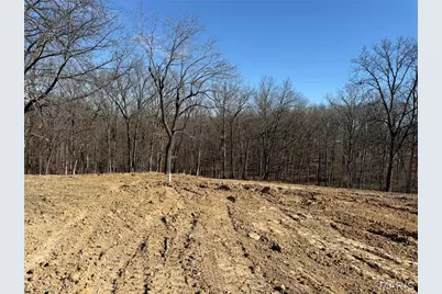 17620 Highway F, Bowling Green, MO 63334 - Photo 26