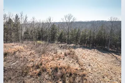 000 Hollingshead, Leasburg, MO 65453 - Photo 42