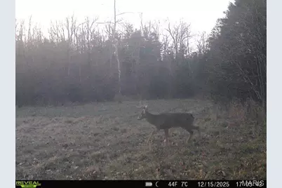 000 Hollingshead, Leasburg, MO 65453 - Photo 10