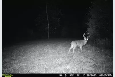 000 Hollingshead, Leasburg, MO 65453 - Photo 18