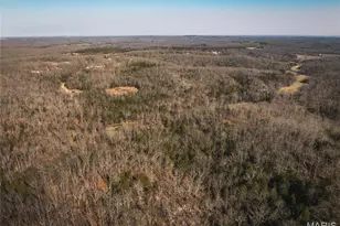 000 Hollingshead, Leasburg, MO 65453 - Photo 1