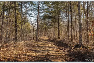 000 Hollingshead, Leasburg, MO 65453 - Photo 46