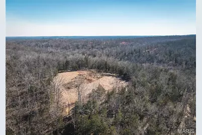 000 Hollingshead, Leasburg, MO 65453 - Photo 2