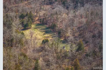 000 Hollingshead, Leasburg, MO 65453 - Photo 4