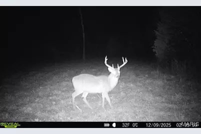 000 Hollingshead, Leasburg, MO 65453 - Photo 12