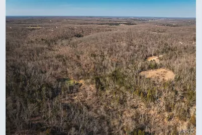 000 Hollingshead, Leasburg, MO 65453 - Photo 22