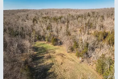 000 Hollingshead, Leasburg, MO 65453 - Photo 30