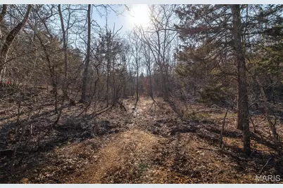 000 Hollingshead, Leasburg, MO 65453 - Photo 44