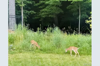 1647 Ridgefield Bluff Court, Eureka, MO 63025 - Photo 6