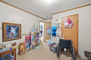 10828 Jayhawk Rd, Greendale, MO 63648 - Photo 22