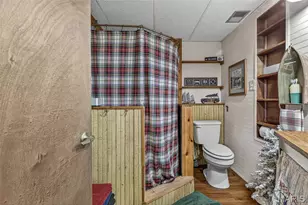 434 Rue Martel, Bonne Terre, MO 63628 - Photo 52