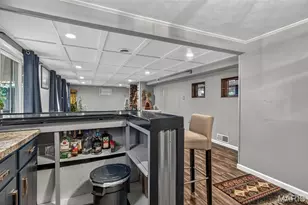 434 Rue Martel, Bonne Terre, MO 63628 - Photo 46