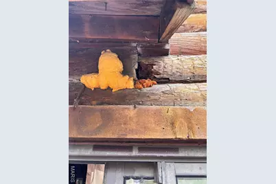 9740 Ridgecrest Drive, Hillsboro, MO 63050 - Photo 16