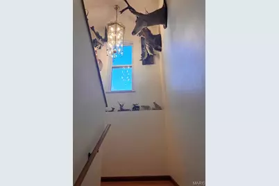 719 White Dogwood Court, Saint Clair, MO 63077 - Photo 26