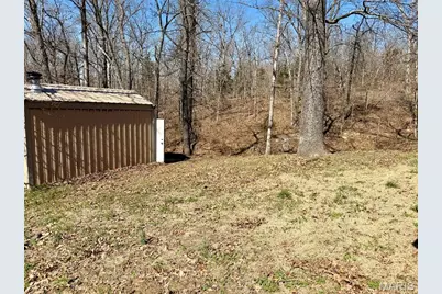 719 White Dogwood Court, Saint Clair, MO 63077 - Photo 50