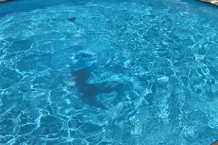 719 White Dogwood Ct, Saint Clair, MO 63077 - Photo 4