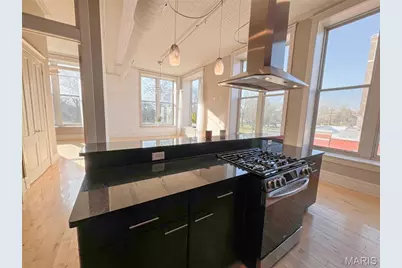 2800 South Grand Boulevard #201, Saint Louis, MO 63118 - Photo 6