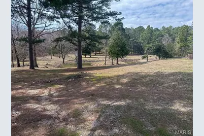 628 County Road 420, Poplar Bluff, MO 63901 - Photo 48