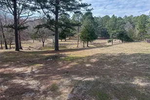 628 Co Rd 420, Poplar Bluff, MO 63901 - Photo 48