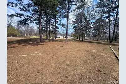 628 County Road 420, Poplar Bluff, MO 63901 - Photo 46