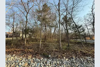 #88A South Deer Trail, Fredericktown, MO 63645 - Photo 1