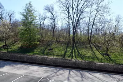 1141 Arbor Creek #3D, Saint Louis, MO 63122 - Photo 36