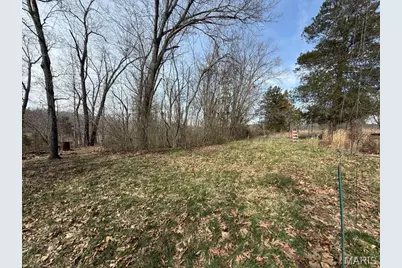 47 White Horse Road, Unincorporated, MO 63050 - Photo 16