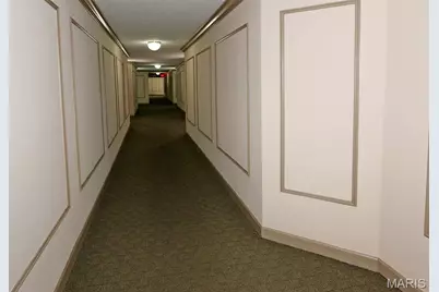 1033 Wilton Royal Drive #209, Creve Coeur, MO 63146 - Photo 8