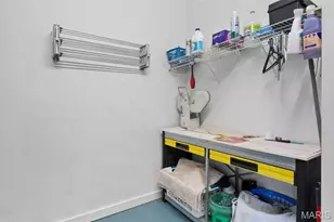 1627 Locust St, Saint Louis, MO 63103 - Photo 28