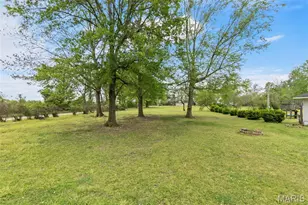 4649 Co Rd 621, Cardwell, MO 63829 - Photo 4